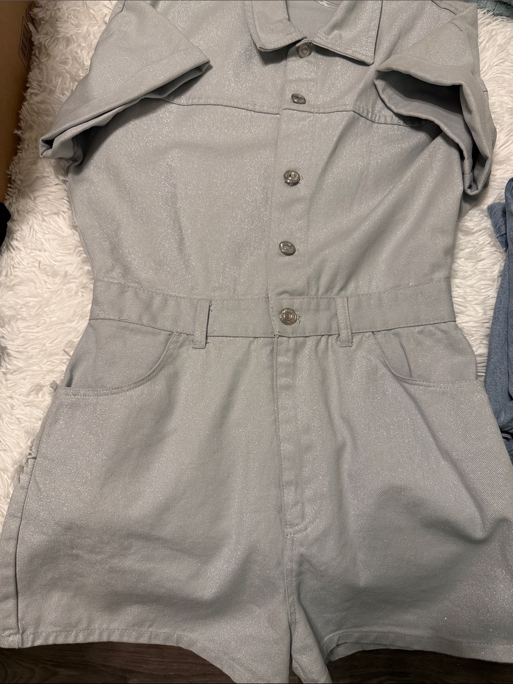 Zara Light Silver Shimmery Jacket